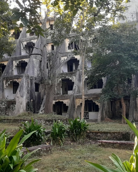 Abandoned building overtaken by nature with tree growth.