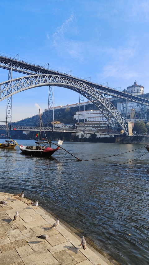       Traditional boat on the Douro River with a bridge.
  