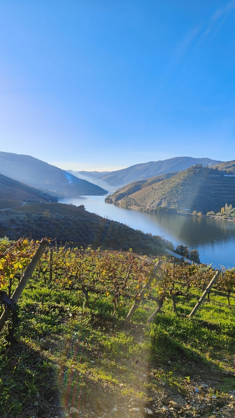       Beautiful valley with a river and hills.
  
