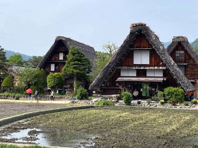Traditional Japanese houses with thatched roofs in a village.