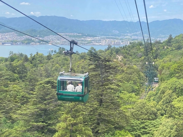 Cable car over forested area with a view of the city.