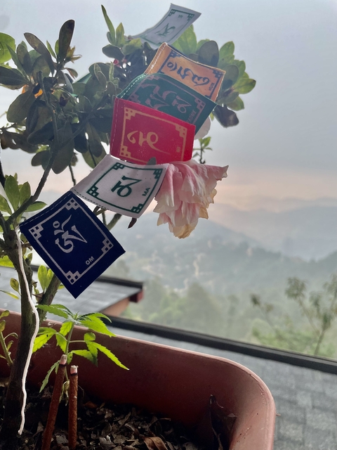       Colorful prayer flags with a misty mountain background.
  
