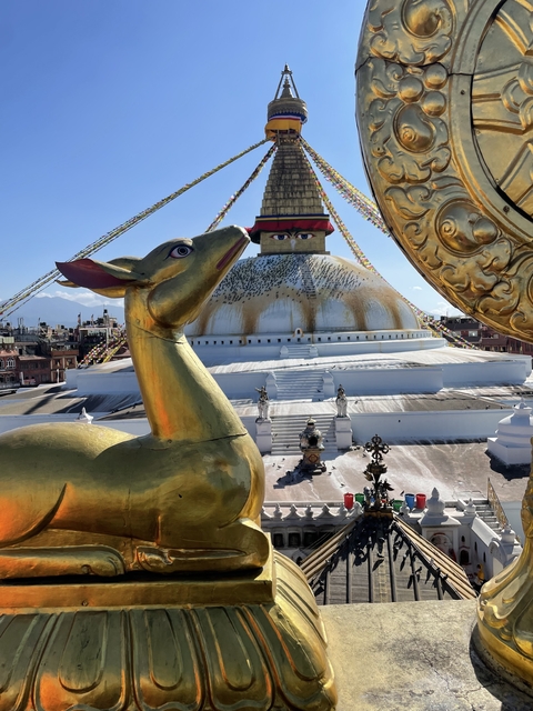       Boudhanath Stupa with golden deer in the foreground.
  