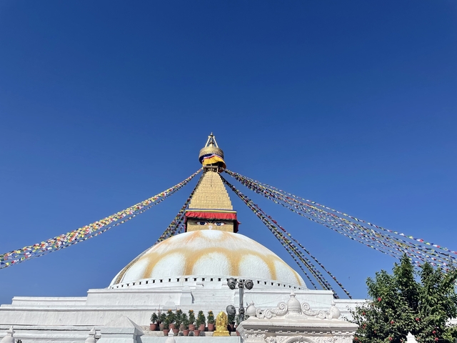       Skyline of Boudhanath Stupa with vibrant colors and prayer flags.
  