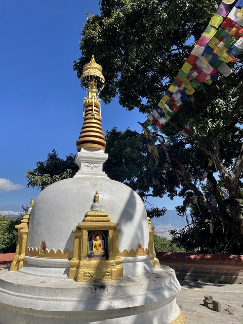       Stupa with prayer flags in the trees.
  