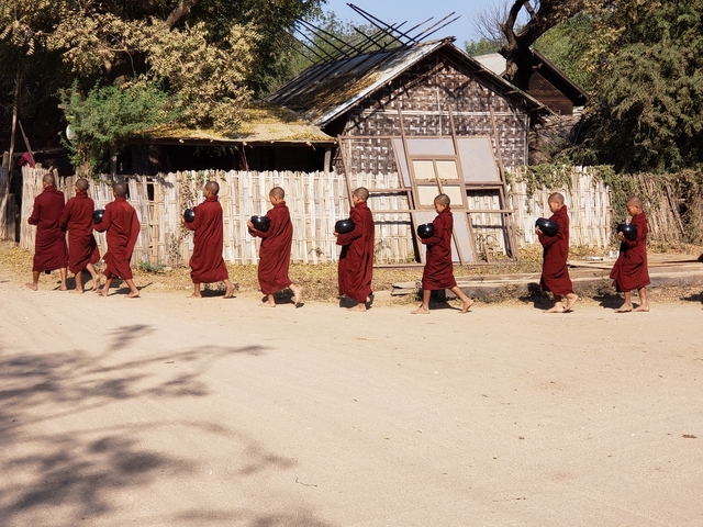 Line of Buddhist monks walking along a street.