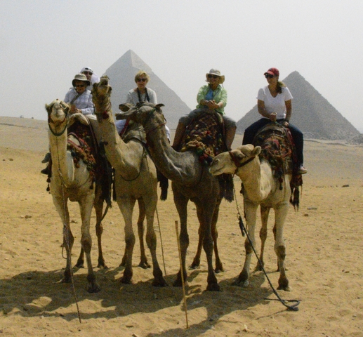 Tourists riding camels with pyramids in the background.