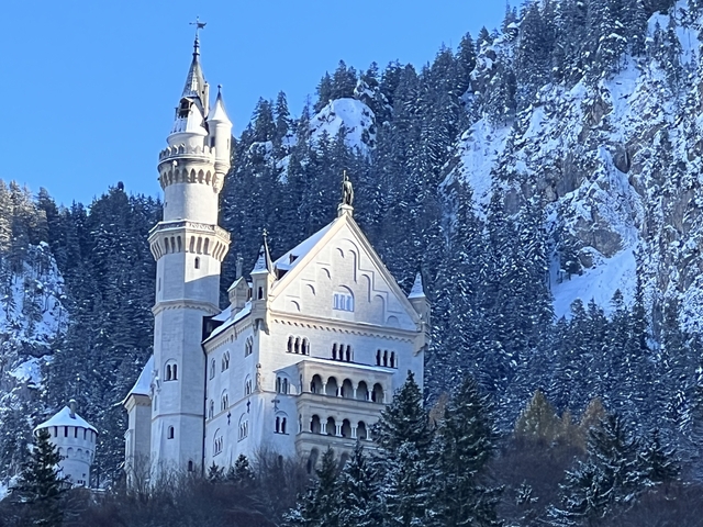 Neuschwanstein Castle surrounded by snow-covered trees.
