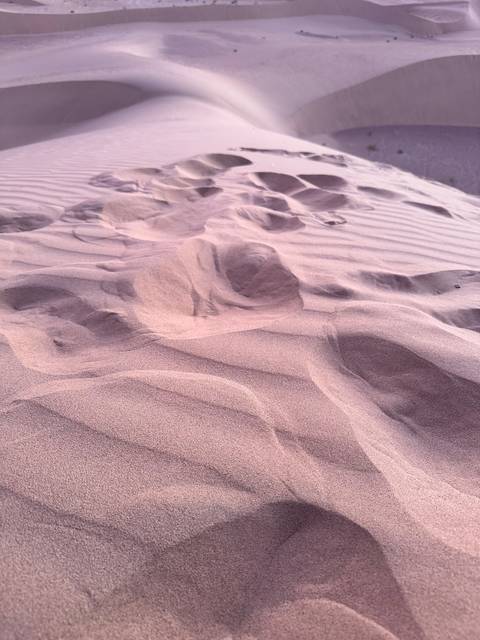       Close-up of sand dune textures and patterns.
  