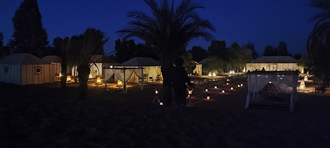       Nighttime view of a camp with lit lanterns and palm trees.
  