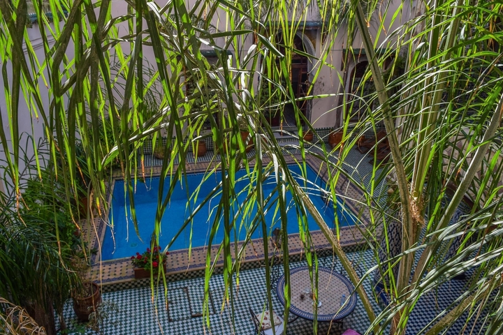       View of a courtyard with a swimming pool and lush greenery.
  