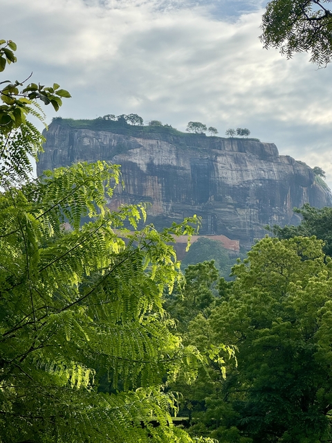       View of Sigiriya Rock surrounded by trees.
  
