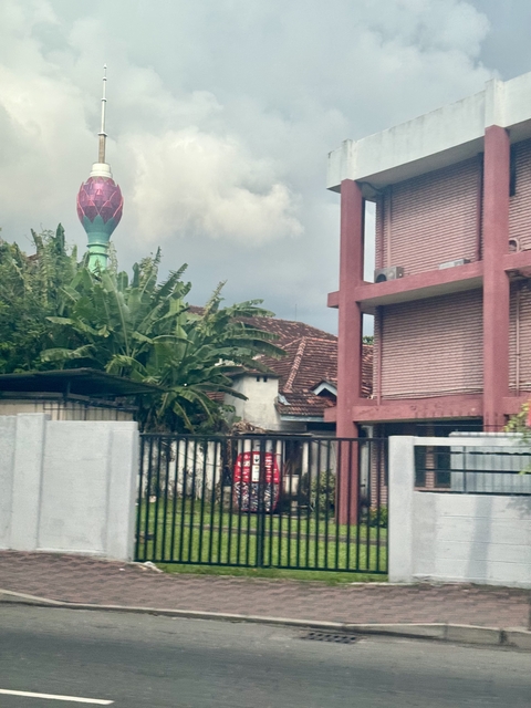       Urban residential area with buildings and banana trees.
  