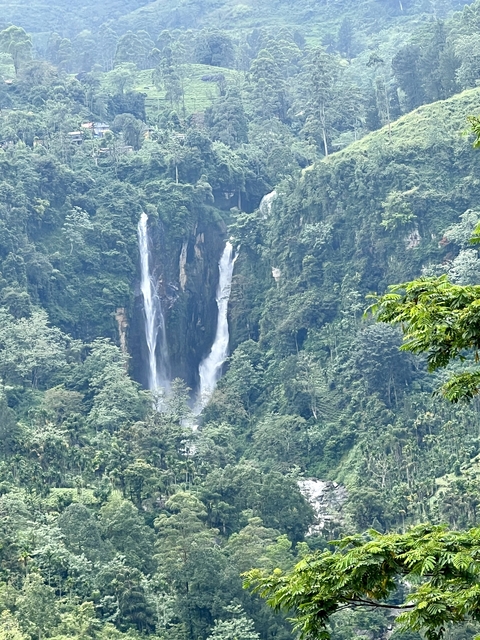       Tall waterfall in a lush green forest.
  