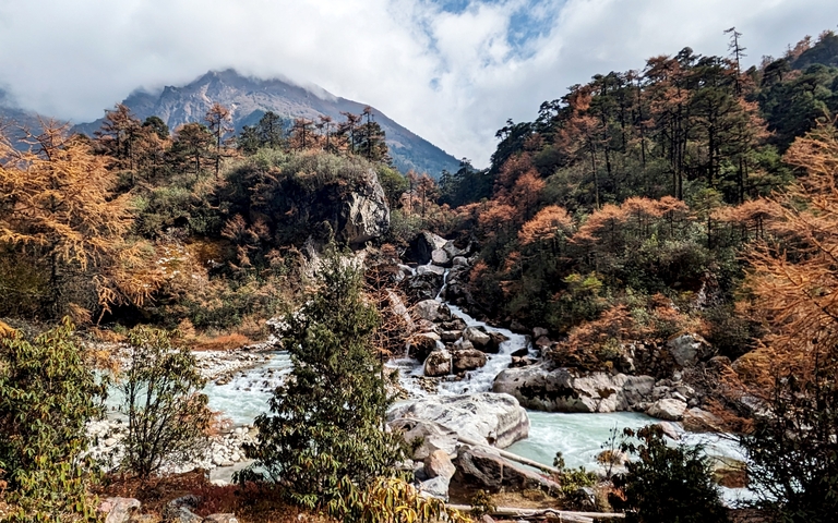       Forest river scene with autumn foliage and boulders.
  