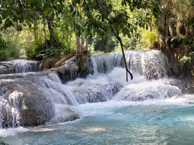       Stream of cascading waterfalls surrounded by lush forest.
  