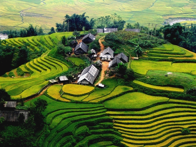 Lush green terraced fields with small houses.