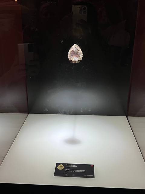       Display of a valuable artifact in a museum.
  