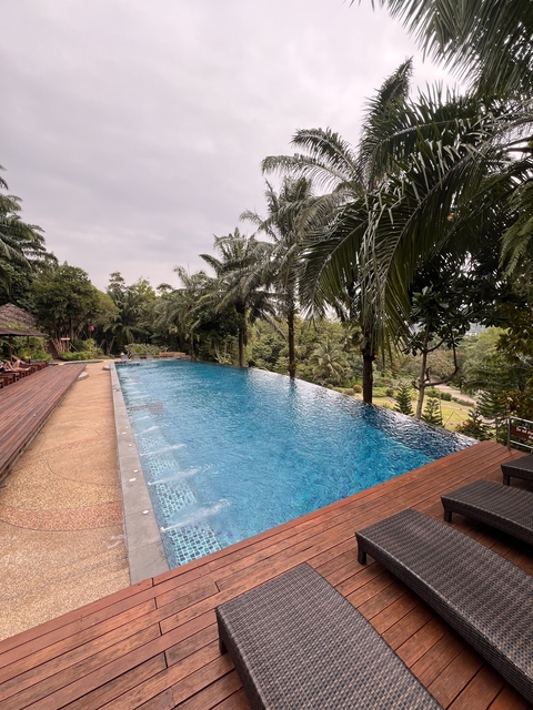 Infinity pool surrounded by trees and nature.