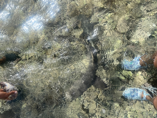 Clear water with rocks and a person's foot visible.