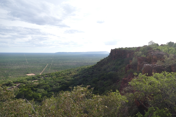 Wide view of a lush valley with distant mountains.
