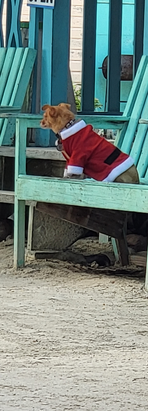 Blurry image with partial view of a person in red clothing.