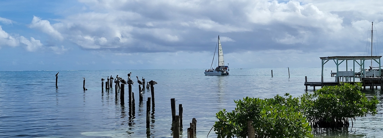Sailboat on a calm sea with pelicans on wooden posts nearby.