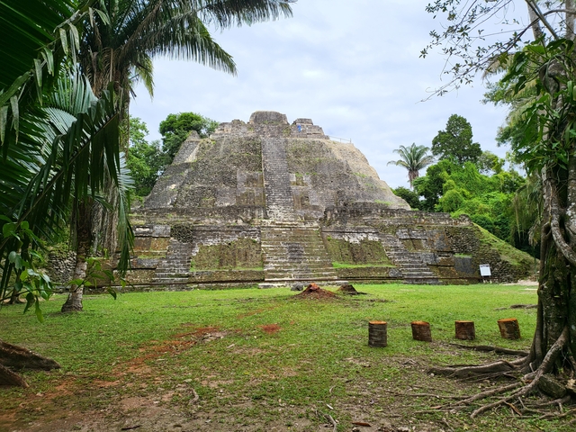 Ancient pyramid surrounded by forest vegetation.