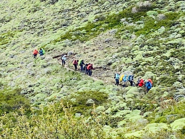       Hikers trekking along a lush green trail.
  