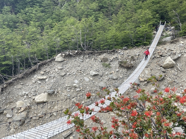 Person crossing a suspension bridge in a forested area.