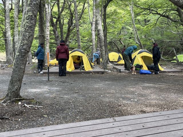 Campers setting up tents in a forested campsite.