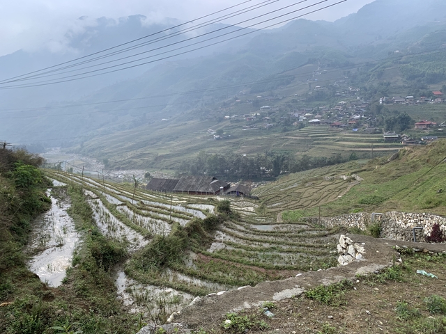 Terraced rice fields in a hilly landscape.