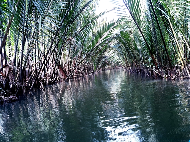       Beautiful waterway lined with tall palm trees creating a canopy.
  