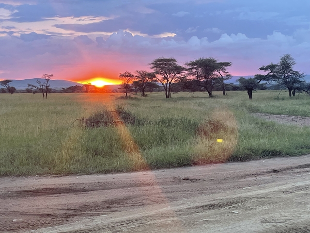 Sunset over a grassy landscape with trees scattered throughout.