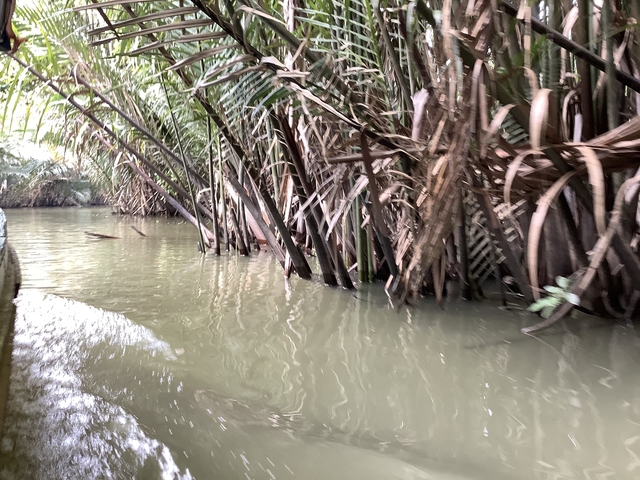 Waterway with dense vegetation and reflections.