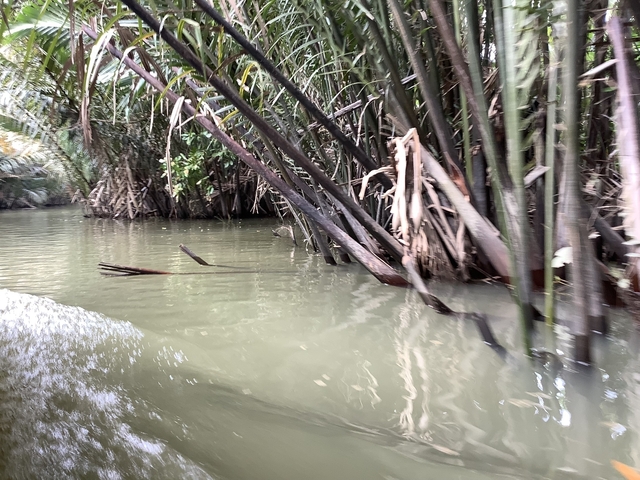 Waterway with trees on both sides, slightly blurry.