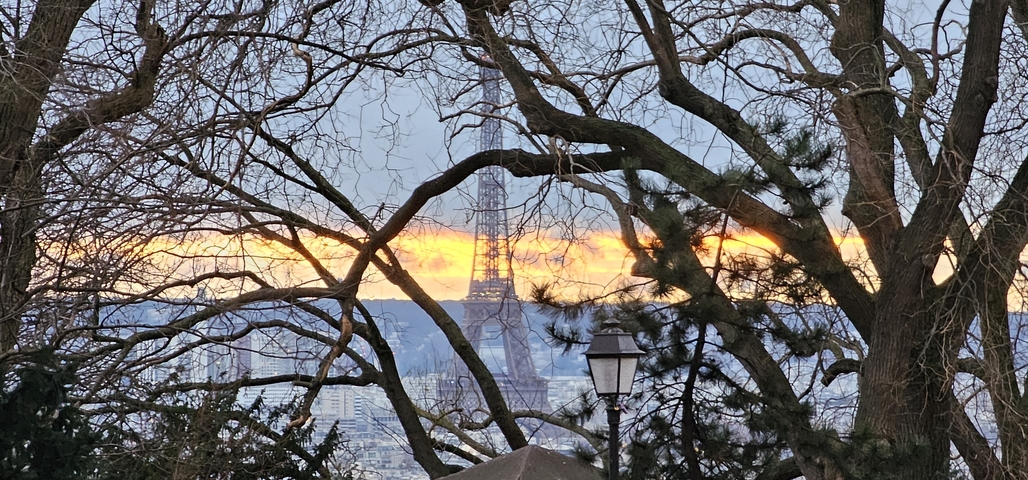       Sunset view of the Eiffel Tower seen through tree branches.
  