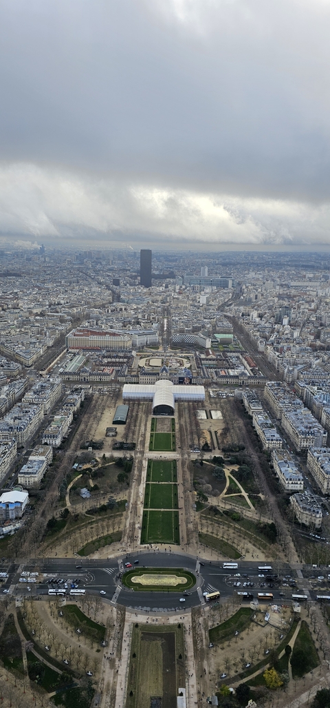       Panoramic view of a city with a central park.
  