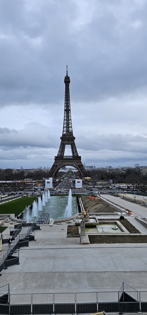       The Eiffel Tower seen through trees during sunset.
  