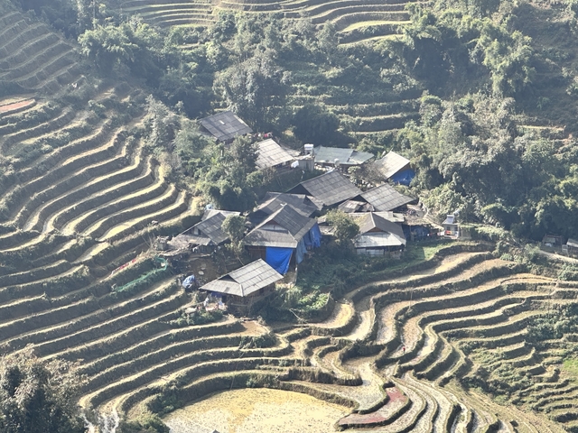 Houses surrounded by rice terraces in a hilly area.