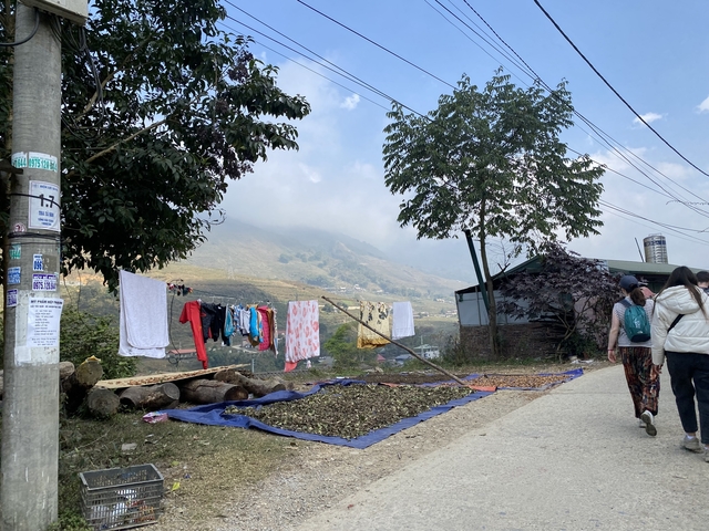       Outdoor scene with people walking on a rural path, clothes drying nearby.
  