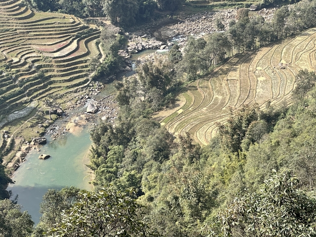       River passing through terraced farmland and forest.
  