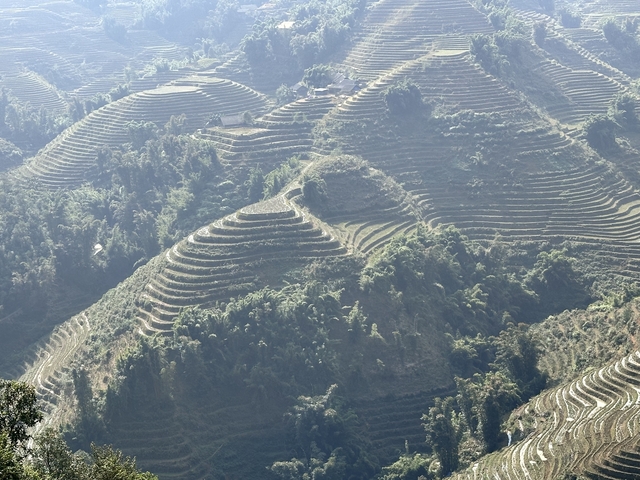 Terraced fields in a mountainous area.
