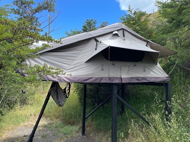 Elevated tent set up among greenery.