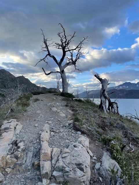       Photo d'avis client sur La Patagonie épique 
  