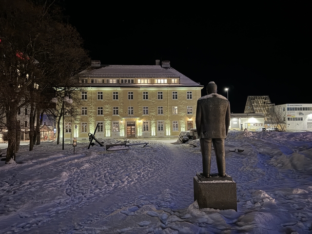       A night scene of a statue with a snowy city backdrop.
  