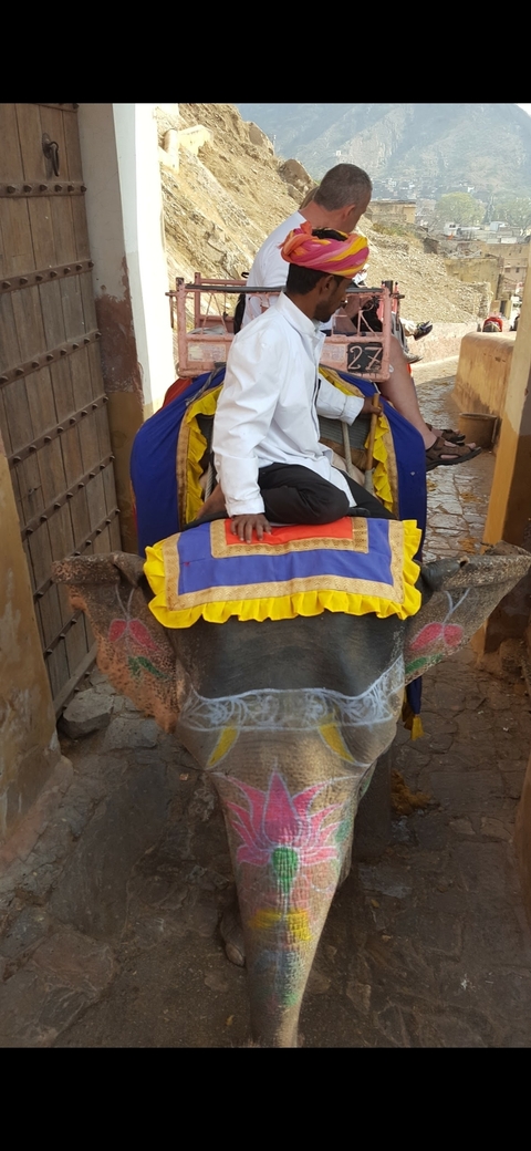 Person riding an elephant adorned with colorful fabric.