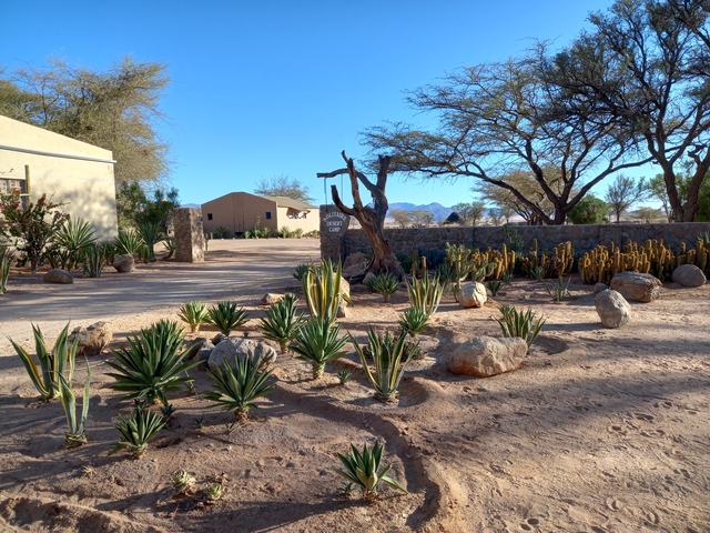 Desert lodge with desert flora and clear sky.
