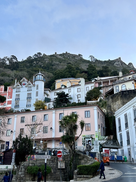       Scenic hillside neighborhood with colorful homes.
  