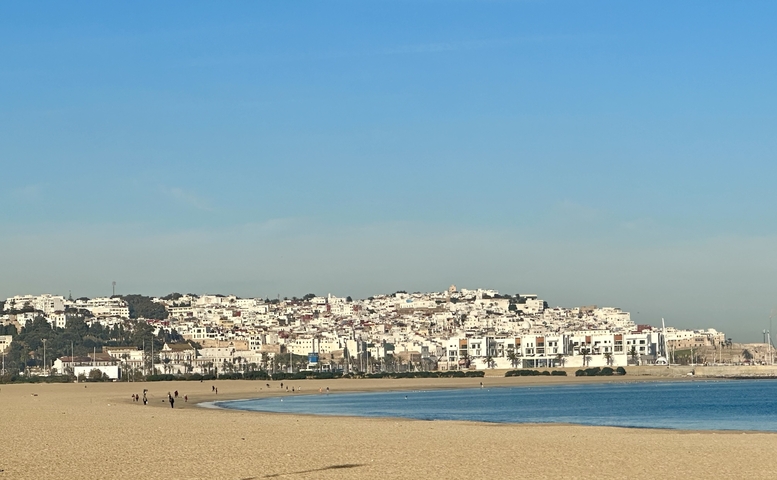       Beachfront view with a compact cityscape in the background.
  